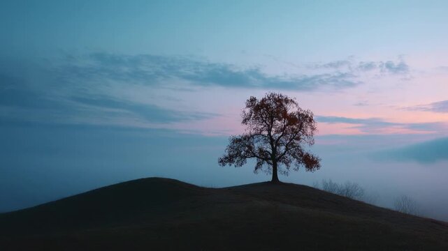 Solitary Tree at Dawn: An iconic tree silhouette graces the summit of a serene hill at dawn, embraced by a tranquil ambiance and misty atmospheric conditions.