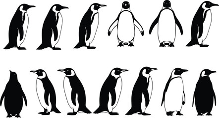 Obraz premium Silhouette vector illustration of penguins standing and walking, black and white penguin designs, arctic wildlife graphic elements for nature, winter, and cold climate themes