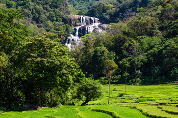 Rathna Ella, at 111 feet, is the 10th highest waterfall in Sri Lanka, situated in Kandy District....