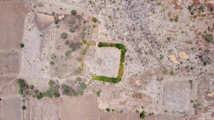 old stone wall with flowers