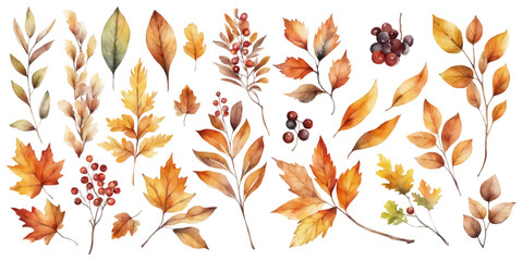 Colorful autumn foliage fall leaf watercolor vector collection set