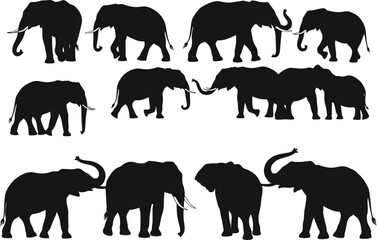 Elephant silhouette vector set, black animal shapes, wildlife illustration, safari theme, tusk and trunk poses, editable graphic for stock content