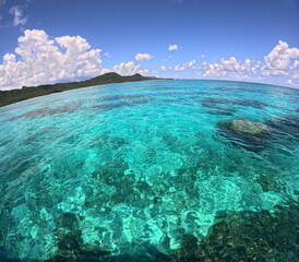夏雲、通り雨の予感
