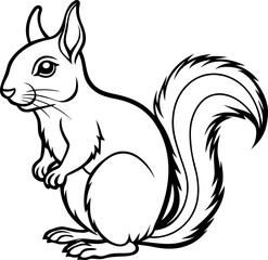 Squirrel line art vector