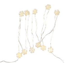 Electrical cord with white light cut out isolated transparent background