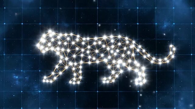 Abstract Geometric Leopard Constellation With Golden Lines And Cosmic Grid