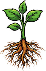 natures tenacious grip a seedlings determined roots, isolated on transparent background