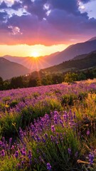 Breathtaking Sunset Over Lavender Field In Mountain Valley Landscape