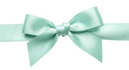 Mint green satin ribbon bow isolated PNG with Transparent Background