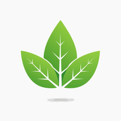 Minimalist White Leaves with Green Center Flat Design Illustration.