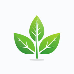 Simple Green and White Plant Illustration with Three Leaves.