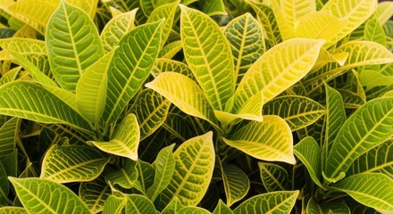 Lush Green and Yellow Leaves Background Vibrant Foliage