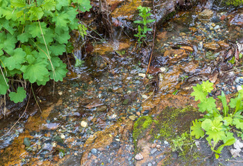 canyon of a mountain river, the structure of a granite outcrop, along a rocky shore