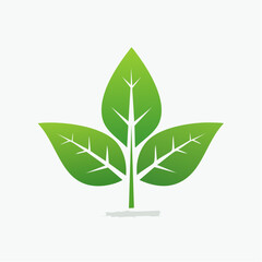 Simple Stylized Illustration of a Young Plant with Three White Leaves and a Green Stem.
