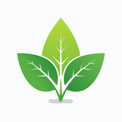 Minimalist White Leaf with Green Stem and Shadow.