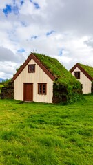 Traditional Icelandic turf houses in a grassy field under a cloudy sky (1)