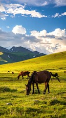 Fototapeta premium Majestic Horses Grazing in Lush Green Meadow Under Blue Sky