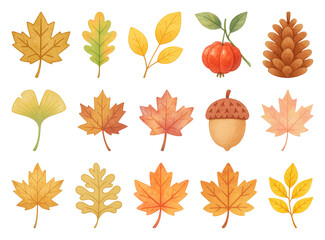 Obraz premium PNG Autumn leaves and nature icons, element set on transparent background