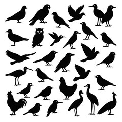 Obraz premium More than twenty species of birds drawn in various shades of black.