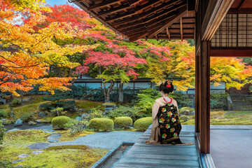 Japanese Woman in Traditional Kimono Dress at Sennyuji Temple with beautiful foliage in autumn in...