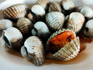 A plate of fresh shellfish, showcasing a variety of opened and closed clams, highlighting their textured shells and vibrant orange meat.