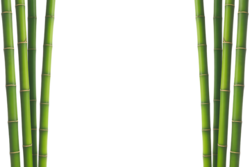 Vertical green bamboo stalks frame a black background