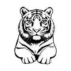 Tiger illustration vector, wild cat drawing, big predator design, jungle animal sketch, tiger face graphic art
