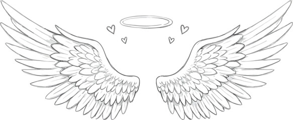 Elegant angel wings and halo sketch isolated symbol of peace purity vector © Mohim