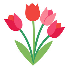 red tulips on white background