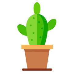 cactus in a pot