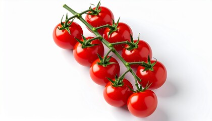 Fresh ripe red cherry tomatoes on the vine isolated on a white background.