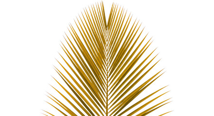 Obraz premium Golden Palm Leaf Detailed Closeup 1.
