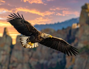 Obraz premium Majestic Eagle in Flight Against a Colorful Sunset Backdrop