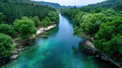 Aerial View of Turquoise River Flowing Through Lush Green Tropical Forest Under Bright Sunlight in Indonesia Scenery Serene Nature Landscape Photography