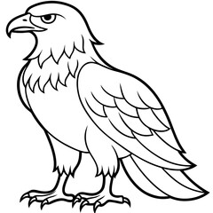 Fototapeta premium Majestic eagle full body vector illustration for scalable graphic designs and icons silhouette vector illustration white background