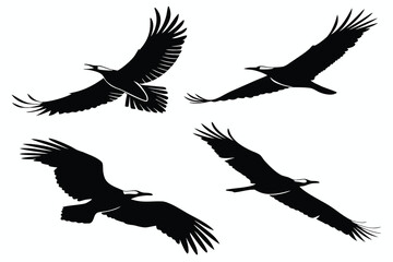 Obraz premium Four black silhouettes of birds of prey in flight on a white background flying wings