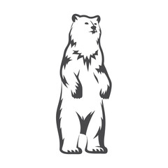 Standing Grizzly Bear on White Background Design Element