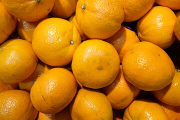 A Symphony of the Harvest, Where Earth's Bounty Awaits Beneath the Gleaming Lights of the Market