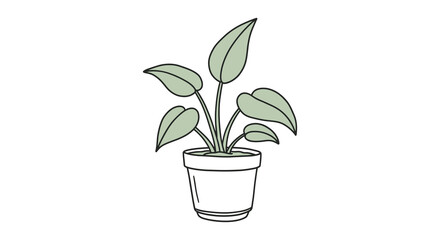 Simple sketch of a philodendron plant in a white ceramic pot © nhpvect02