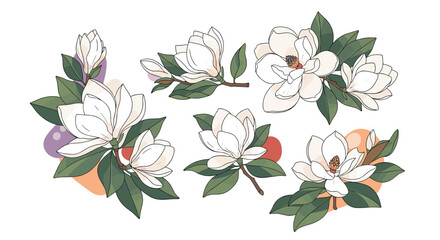 Beautiful white magnolia flowers with green leaves and soft colorful backgrounds.