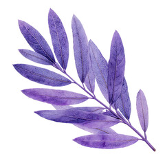 Purple leaf branch graphic