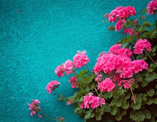 Creative concept of white daisy flowers arranged as a fluffy cloud with falling raindrops on a vibrant blue background, symbolizing spring freshness and nature&rsquo;s beauty.