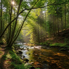 Obraz premium Serene Forest River in Dappled Sunlight