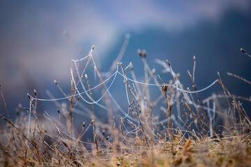 Merry Christmas and happy new year greeting card. Winter landscape with snow .