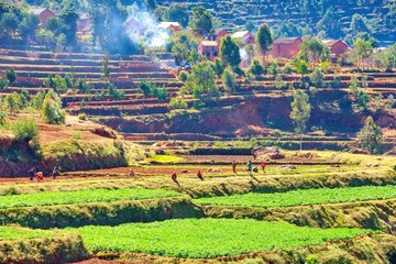 Landscape of Madagascar