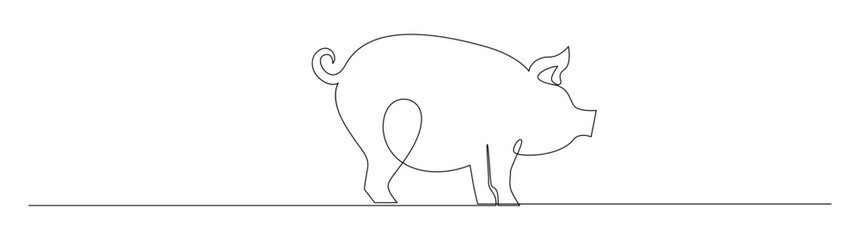 Pig in continuous line art style