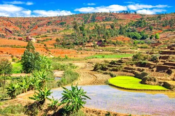 Landscape of Madagascar