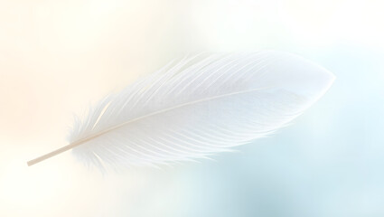 Obraz premium White Feather Calm