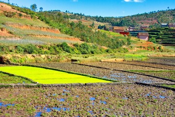 Landscape of Madagascar