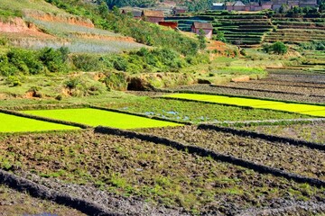 Landscape of Madagascar